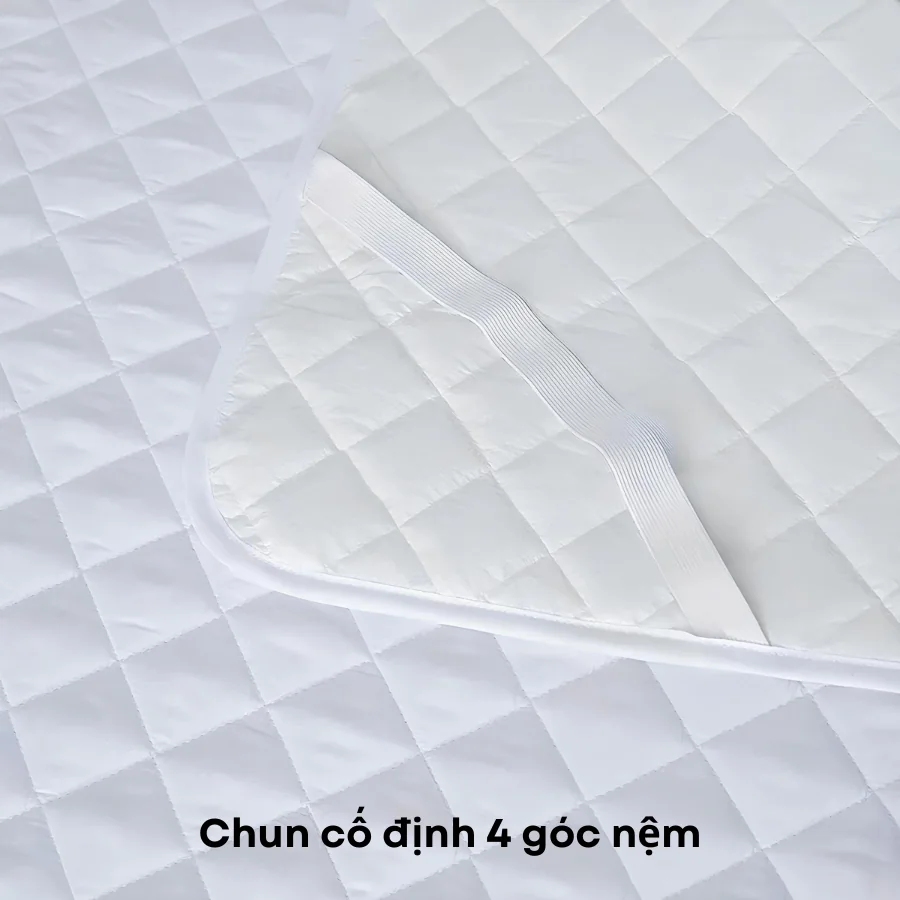 Dây chun cố định ở góc tấm lót trắng